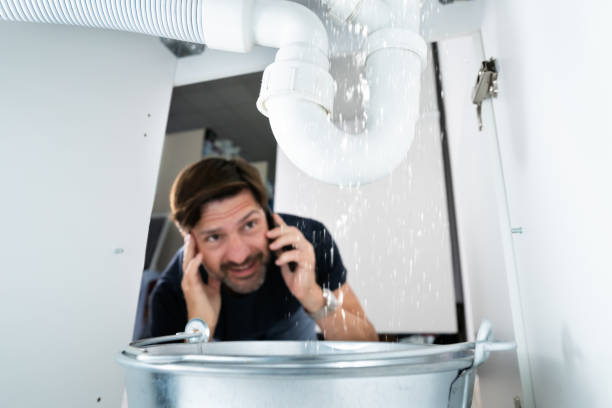 Best Water Softener Installation  in Centreville, AL